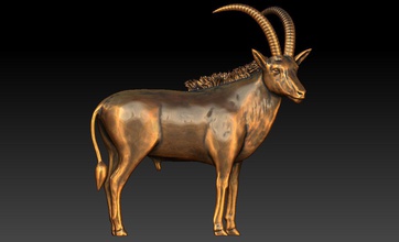 dev samur antelope palanca zenci heykel keçi hayvan zbrush artiodaktil montain toynak keçiler huysuz ahır boynuz çiftlik dağ hayvanlar billy lama kulaklar göz paskalya meydan okuma sanat heykeller 3d print model - Mito3D