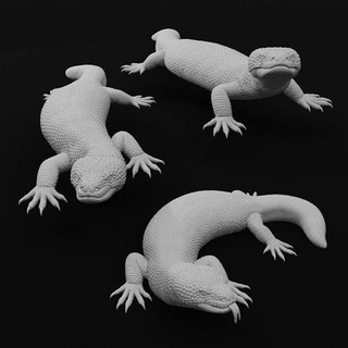 gila monster lizard realistc venomous reptile 3d print model animal pet decoration sculpt realisic life like detailed wildlife art scans replicas 3d print model - Mito3D