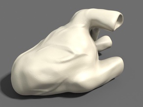 geben Sie mein Herz Wissenschaft Anatomie valentine Geschenk drucken 3d bedruckbar ist Tag Mensch Charakter Biologie fbx die menschliche das 3d print model - Mito3D