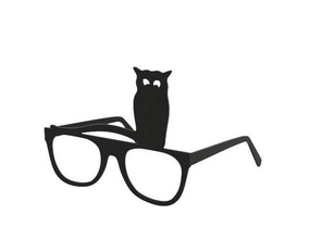 glasses owl on eyeglasses fashion accessory cat halloween 3d print model - Mito3D