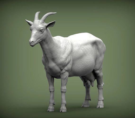 capra 3d Stampa modello natura mammifero animale domestico scultura statuetta souvenir presente scolpire arte sculture latte azienda agricola 3D print model - Mito3D