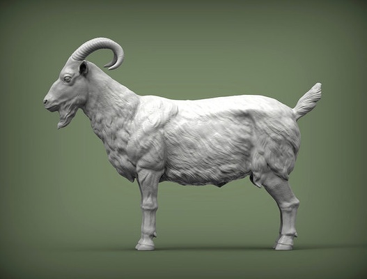 cabra 3d impresión modelo naturaleza mamífero animal mascota escultura estatuilla recuerdo esculpir arte esculturas leche granja cabrito 3d print model - Mito3D