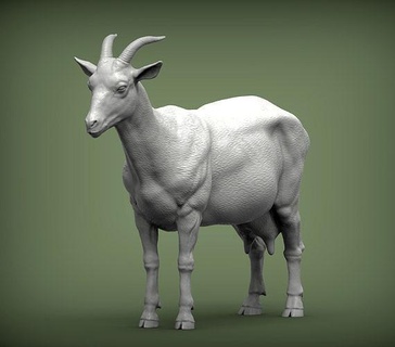 bode 3d impressão modelo natureza mamífero animal escultura estatueta lembrança presente esculpir arte esculturas leite Fazenda 3d print model - Mito3D
