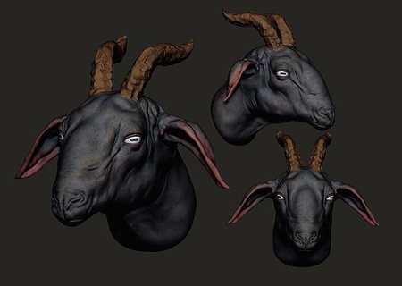 capra testa animale anatomia 3d Stampa zbrush arte sculture animali mammifero pecore corno natura agnello carattere 3d print model - Mito3D