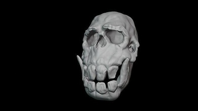 goblin skull ogk head anatomy bone dead teeth tooth death grave spooky horror face sculpture statue monument download figurine printer props games toys game accessories 3d print model - Mito3D