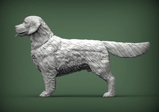 dorado perdiguero perro naturaleza mamífero animal mascota escultura estatuilla recuerdo 3d impresión modelo esculpir Arte esculturas estatua imprimible 3d print model - Mito3D