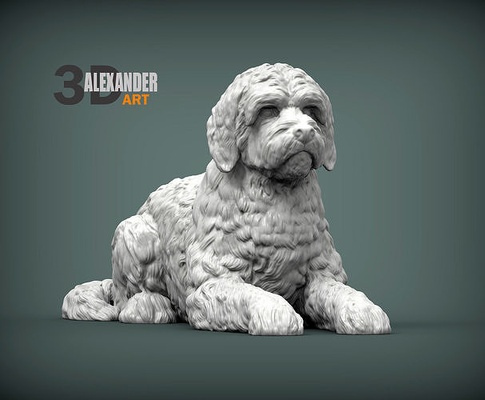 goldendoodle bugie d'oro scarabocchio cane natura mammifero animale domestico scultura statuetta souvenir 3d stampa modello arte sculture statua scarabocchi 3d print model - Mito3D