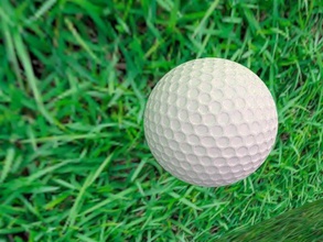 bola de golfe jogos-brinquedos esporte grama ao ar livre covinha jogador jogos brinquedos 3d print model - Mito3D