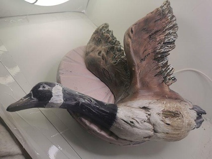 goose flight animal bird deco scan art scans replicas 3d print model - Mito3D