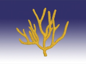 gorgonie koralle natur wasser pflanze meer ozean riff unterseeisch tier fisch aquarium aquarien kunst 3d print model - Mito3D