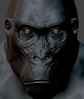 gorilla bust ape monkey animal animals kong sculpture primate king gorila silverback nature art science biology 3d print model - Mito3D