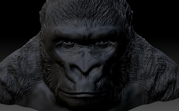 gorila cabeça harambe macaco costas prateadas fracasso educacional exibição 3d impressão 3dprint ciência biologia 3d print model - Mito3D