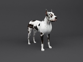 great dane 3d print ready dog model guard puppy animal doggy dogy printable printready art sculptures 3d print model - Mito3D