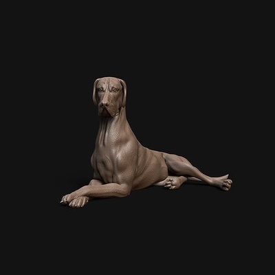 génial danois repos chien pré prise charge animal figure figurines miniatures compagnie sculpture miniature mammifère canin national pose grand danois art sculptures 3d print model - Mito3D