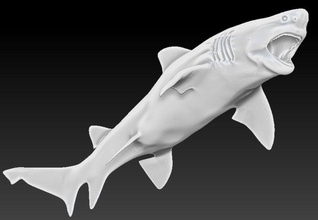 grand requin art blanc le gros du poisson carcharodon carcharias de la mer prédateur marine animal 3d modèle haut l'océan surf créature morphing réaliste sculptures 3d print model - Mito3D