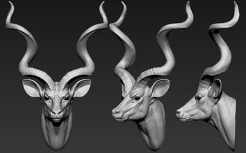 büyük zorunlu antilop afrika trajelaphus strepsiceros hayvanlar memeli sanat heykeller 3d print model - Mito3D