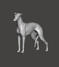 levriero cane segugio domestico inglese corsa animale canino scultura arte sculture 3d print model - Mito3D