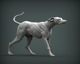 galgo cão natureza mamífero animal escultura estatueta lembrança 3d impressão modelo esculpir arte esculturas estátua imprimível 3d print model - Mito3D