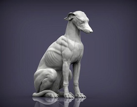 greyhound sitting dog nature mammal animal pet sculpture statuette souvenir 3d print model sculpt art sculptures statue printable 3d print model - Mito3D