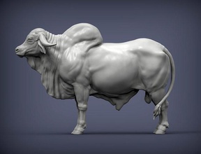 giro touro vaca zebu gado Ásia Índia laticínios doméstico carne escultura bovino animais mamífero 3d impressão arte esculturas 3d print model - Mito3D