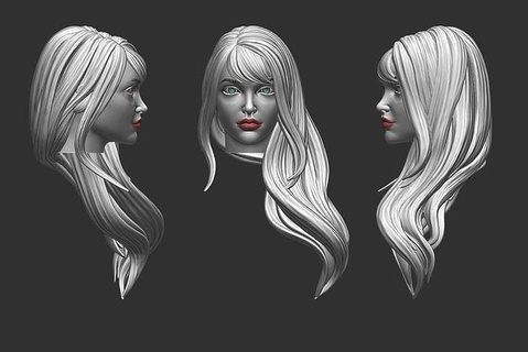 cheveux 30 fille engrener réaliste coiffure salon coiffeur tête perruque beauté femme personnage longue art élégant moderne Coupe mode 3d print model - Mito3D
