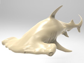 martillo tiburón imprimible animal pez fauna silvestre submarino naturaleza vida marina impresión juguete juguetes real realista estatua oceano arte esculturas 3d print model - Mito3D