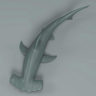 martello squalo animale pesce oceano mare acqua acquario balena uccisore miniature figurine arte sculture 3d print model - Mito3D
