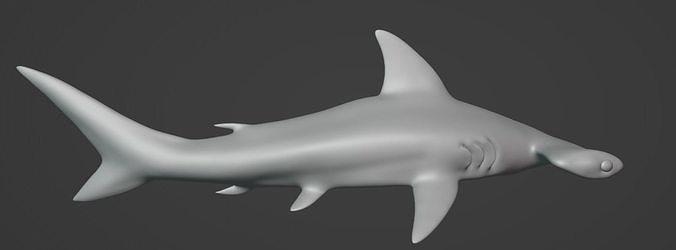 Hammerkopf Hai Tier Ozean Meer Tiere Leben Wissenschaft Biologie 3d print model - Mito3D