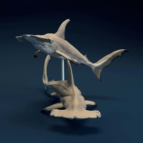 hammerhead sharks 3d printing animal sea ocean marine sculpture fish predator great statue miniature figurine underwater navy art nature water mammal sculptures 3D print model - Mito3D