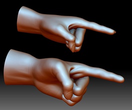 mano punto gesto stl expediente 3d imprimible modelo masculino hembra señalando muñeca brazo cuerpo humano anatomía dedo arte señales logos 3d print model - Mito3D