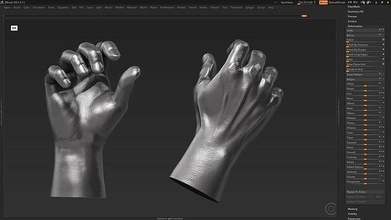 mano posa 02 3d stampa modello delle mani umana anatomia scolpire zbrush arte sculture 3d print model - Mito3D