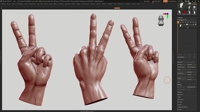 mano posa 05 3d stampa modello delle mani umana anatomia scolpire zbrush arte sculture 3d print model - Mito3D