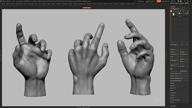 mano posa 06 3d Stampa modello delle mani umana anatomia scolpire zbrush arte sculture 3d print model - Mito3D