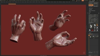 mano posa 08 3d Stampa modello delle mani umana anatomia scolpire zbrush arte sculture 3d print model - Mito3D