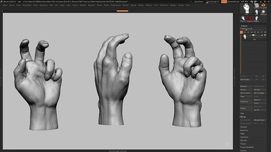 mão pose 09 3d impressão modelo humana anatomia escultura zbrush arte esculturas 3d print model - Mito3D