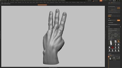 hand pose 11 3d print model handpose humanhand humanhandpose anatomy sculpting zbrush art sculptures 3d print model - Mito3D