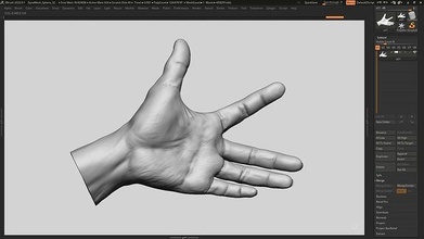 mão pose 15 3d impressão modelo humana anatomia escultura zbrush arte esculturas 3d print model - Mito3D