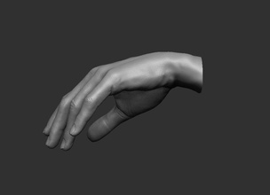 hand pose 4 palm finger body anatomy extremities human hands art scans replicas gesture 3d print model - Mito3D