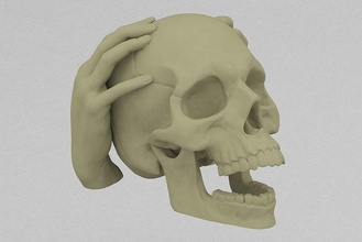 mano cranio animale scheletro corpo ossatura denti dita miniatura scienza biologia arte sculture 3d print model - Mito3D