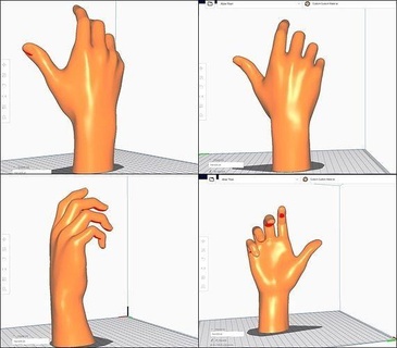 Hand stl m05 Anatomie Körper Hände Faust Palme Finger zbrush realistisch Modell weiblich Charakter Körperteil Nagel Bildhauerei Frau Kunst Skulpturen 3d print model - Mito3D