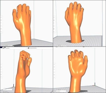 Hand stl m06 Anatomie Körper Hände Faust Palme Finger zbrush realistisch Modell weiblich Charakter Körperteil Nagel Bildhauerei Frau Kunst Skulpturen 3d print model - Mito3D