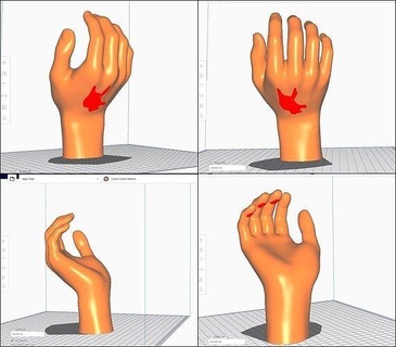 mano stl m07 anatomia corpo mani cazzotto palma dito zbrush realistico modello femmina carattere parte scolpire donna arte sculture umano figura 3d print model - Mito3D