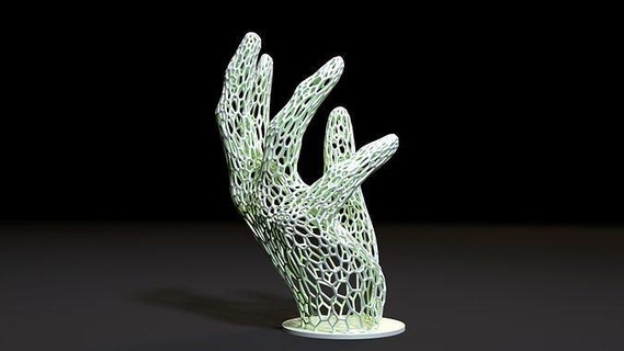 mano voronoi dedo brazo extremidades humano anatomía cuerpo hembra Arte esculturas gesto 3d print model - Mito3D