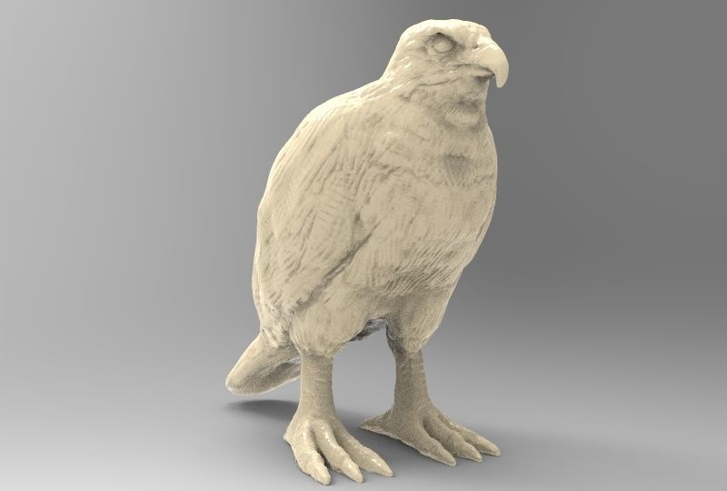 Şahin yazdırılabilir sanat sinek kuş vahşi hayvan doğa oyuncak oyuncaklar gerçek gerçekçi heykel kanat tüy güvercin heykeller 3D print model - Mito3D