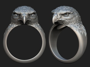falco squillare testa uccello natura animale picco aquila gioielleria anelli 3d print model - Mito3D
