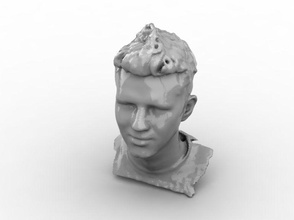 head 2 fashion print rhino rhinoceros printable puppet mannequin human other 3d print model - Mito3D