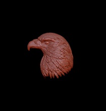 cabeza of águila pájaro naturaleza halcón cazar pluma depredador animal arte bestia escultura criatura zbrush esculturas 3d print model - Mito3D