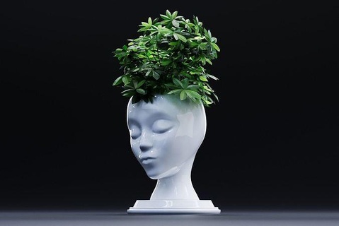 cabeza florero menaje cara estante soporte plantas accesorios Arte capacidad 3d impresión persona mujer niña hermoso esculturas 3d print model - Mito3D