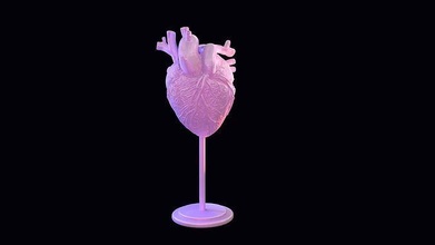 heart anatomy medicine human isolate body 3dprint science cupid artery veins blood vessels biology aorta coronary vein aorti byology 3d print model - Mito3D