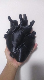 kalp çiçek tencere sevgili romantik doğa anatomi insan Aşk organ ev dekor 3d print model - Mito3D